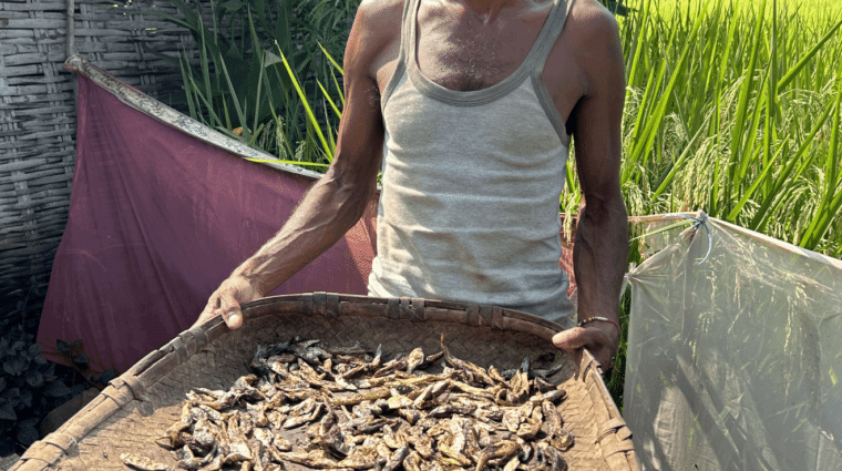 A person smiling, standing outdoors holding a woven tray filled with dried fish.