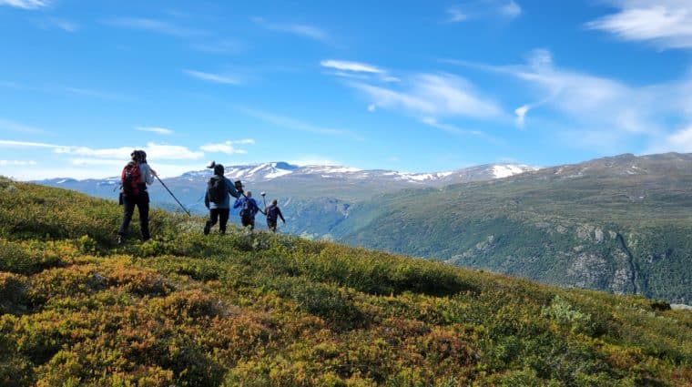 Four people walking with research equipment on a hillside overlooking a mountain range. The sky is bright blue above the mountains.